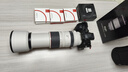 佳能（Canon）RF100-500mm F4.5-7.1 L IS USM 超远摄变焦镜头【滤镜防护套装】 实拍图