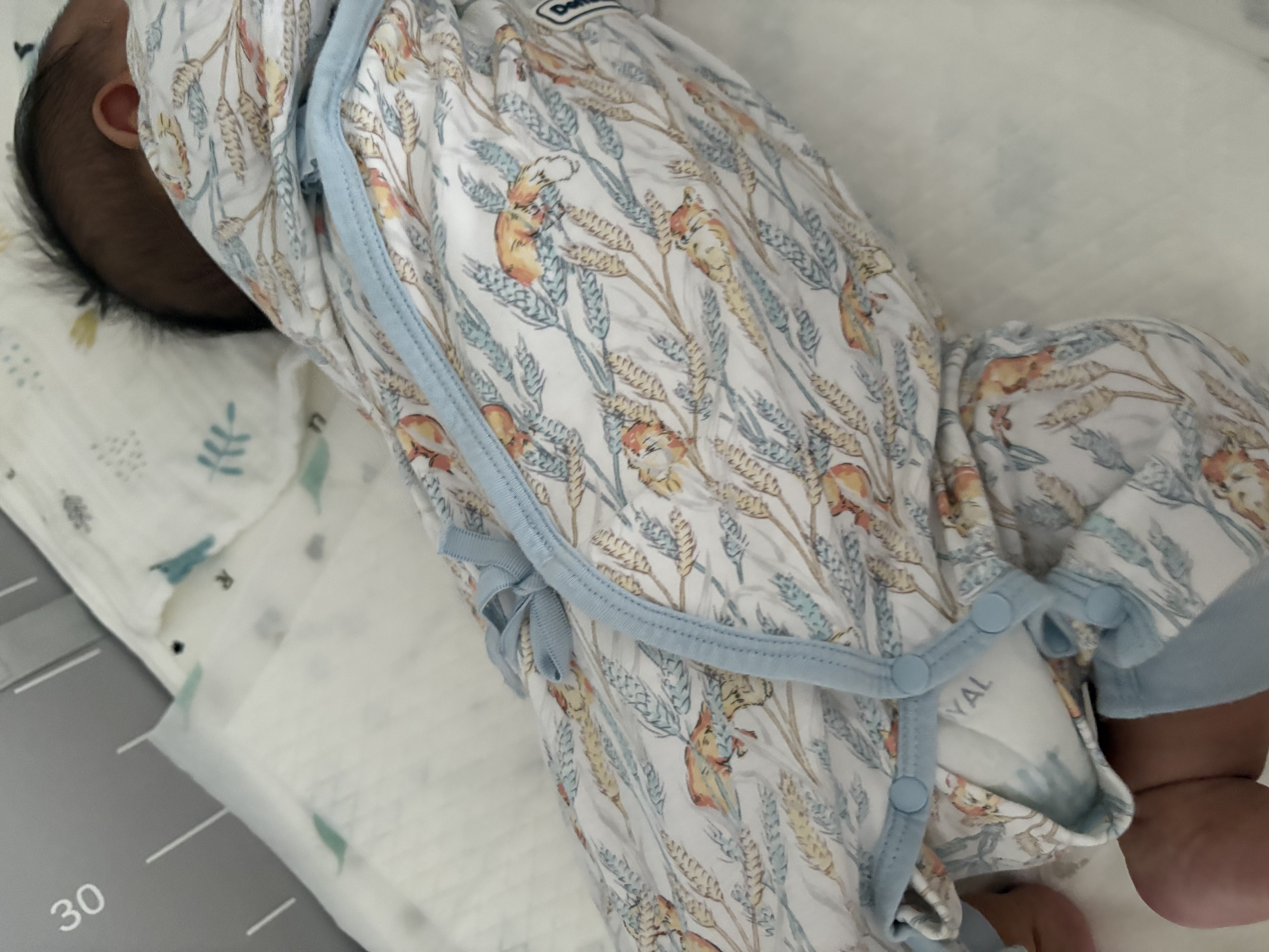 DOMIAMIA新生儿衣服婴儿连体衣秋冬款贴身睡衣爬服宝宝满月百天周岁衣服 诺伊麦穗【梦棉推荐20-25℃】 59cm 【推荐身高55-62cm】 晒单实拍图