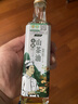 小熊（Bear）破壁机家用自清洗1.5L可拆洗免滤破壁机全自动免煮辅食机多功能料理机榨汁机3-4人G12F8 实拍图