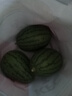 藤上熟吊秧小西瓜1粒1.5kg 晒单实拍图