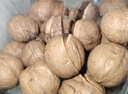 楼兰蜜语【新货】高品质阿克苏年新薄皮核桃5斤原味节日礼盒特产坚果零食 实拍图