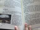世界遗产在中国世界遗产概览文化遗产中国文化小学生历史地理科普 6-12岁探索中华文明 课外阅读读物年轻人要熟知的历史常识中国传统文化精华知识百科国学常识青少年课外书 实拍图