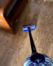 戴森（DYSON）V8无绳吸尘器【升级款】手持无线吸尘器 除螨 宠物 家庭适用 实拍图