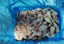 禧美海产加拿大熟冻北极甜虾1斤/袋 65-85只 (MSC认证) 海鲜水产 轻食海鲜 实拍图