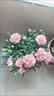 沭之美康乃馨盆栽母亲节礼物观花植物桌面绿植粉色+0.5加仑盆 源头直发 实拍图