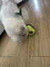 HELLOJOY猫玩具自嗨解闷逗猫棒不倒翁漏食球猫薄荷宠物猫玩的猫咪用品大全 实拍图