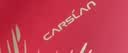卡姿兰（Carslan）彩妆套装化妆品全套礼盒初学全妆入门15件新手全妆 生日礼物女友 实拍图
