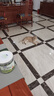 憨憨乐园猫草磨牙棒猫草棒猫咪幼猫零食鸡肉冻干排毛化毛球小猫条80g 实拍图