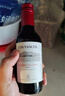 拉菲（LAFITE）巴斯克酒庄赤霞珠干红葡萄酒187ml 单瓶装 原瓶进口红酒 实拍图