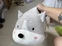 名创优品（MINISO）趴姿系列-大号趣味狗狗毛绒公仔玩具玩偶抱枕生日礼物女 灰色 实拍图