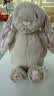 Jellycat害羞乳白色邦尼兔动物毛绒玩偶安抚玩偶娃娃送礼生日礼物 花布米色邦尼兔（派朵尔） Medium 实拍图