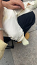 欢喜小熊宝宝春秋内衣套装打底衣婴儿秋衣秋裤高腰护肚衣服 实拍图