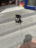 ERGOBABY宠物剃毛器狗狗猫咪推子电推剪脚毛修剪理发器全身推毛器用品白银 实拍图