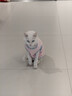 parlmu帕蓝姆宠物零食猫犬通用冻干狗狗拌粮神器训练奖励10拼冻干桶500g 实拍图