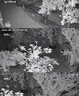 乔安（JOOAN）4g太阳能摄像头AI室外户外终身免充值无电无网免插电手机远程监控器家用360度无死角带全景夜视 实拍图