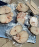 禧美海产冷冻大西洋真鳕鱼排净重2斤 4-6袋独立 轻食海鲜 轻食海鲜 实拍图
