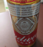 百威啤酒经典纯生500ml*12听整箱装新旧包装京东自营踏春送礼 实拍图