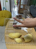 三丽鸥儿童指甲油可撕剥女孩美甲贴纸3-8岁美乐蒂过家家玩具生日礼物 【3色指甲油】冰雪奇缘套装 实拍图