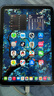 Apple/苹果 iPad mini (A17 Pro) 8.3英寸 平板电脑(256G WLAN版/mini7/MXNE3CH/A)紫色 实拍图