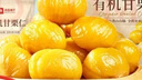 良品铺子有机甘栗仁500g/10袋免剥即食板栗仁糯叽整颗大栗子每日坚果送礼 实拍图
