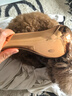 HELLOJOY狗狗拉毛梳泰迪美容蓬松造型猫梳子宠物狗毛猫咪毛梳毛刷针梳用品 实拍图