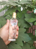 全兴 大曲回味经典 52度 浓香型白酒 100ml 单瓶装 自饮小酌 实拍图