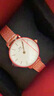 丹尼尔惠灵顿（DanielWellington）DW女士手表轻奢流金简约石英欧美腕表礼盒款生日礼物送女友DW219 实拍图