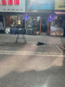 小鹿妈妈 圆线护理牙线棒50支X4盒 剔牙签清洁齿缝家庭装超细便捷 实拍图