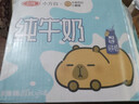 三元小方白纯牛奶200ml*24盒 100%生牛乳 整箱送礼 实拍图