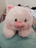 名创优品（MINISO）福莉丝猪系列趴姿公仔毛绒玩具玩偶抱枕娃娃生日礼物女 实拍图