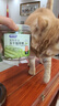 憨憨乐园  猫零食猫薄荷 天然猫薄荷 吐毛球幼猫猫咪零食猫薄荷 猫薄荷20g 实拍图