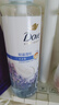 多芬（Dove）【成毅同款】轻盈蓬松无硅油氨基酸洗发水470ml蓝风铃 细软扁塌 实拍图