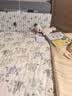 babycare甜梦安抚巾牙胶新生儿婴儿安抚玩具毛绒玩偶手偶可咬-西高地哆哆 实拍图