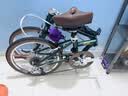 大行（DAHON）D10折叠自行车20英寸10速成人复古单车HAC003 邮政绿 实拍图