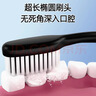 BRUSHING BEAR牙刷软毛高档竹炭细刷丝去渍护龈成年人家用家庭装10支独立包装 实拍图