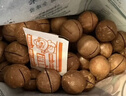 三只松鼠京觅联名夏威夷果1000g24-26mm儿童每日坚果炒货休闲零食团购送礼 实拍图