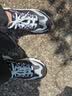 斯凯奇（Skechers）蕾丝熊老爹鞋女鞋秋季厚底增高熊猫鞋减震休闲运动鞋11959 实拍图