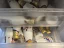 每日鲜语4.0-720ml*1+低脂4.0-720ml*3 实拍图