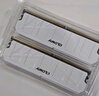 光威（Gloway）8GB DDR4 2666 台式机内存条 悍将 马甲条 精选颗粒 CL19 AI电脑配件升级 实拍图