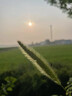 Mistine蜜丝婷防晒霜小黄帽面部水感养肤防紫外线60mlspf50+520礼物 实拍图