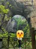 迪卡侬男女登山鞋户外防水防滑耐磨春秋中帮徒步鞋 MH100中帮 女款-松灰色 40 实拍图