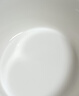 天际（TONZE）【价保618】电炖锅煲汤锅沸炖系列家用陶瓷炖锅全自动煮粥锅直炖锅 电炖锅煲汤4-8人 5升 DDG-50DF 实拍图