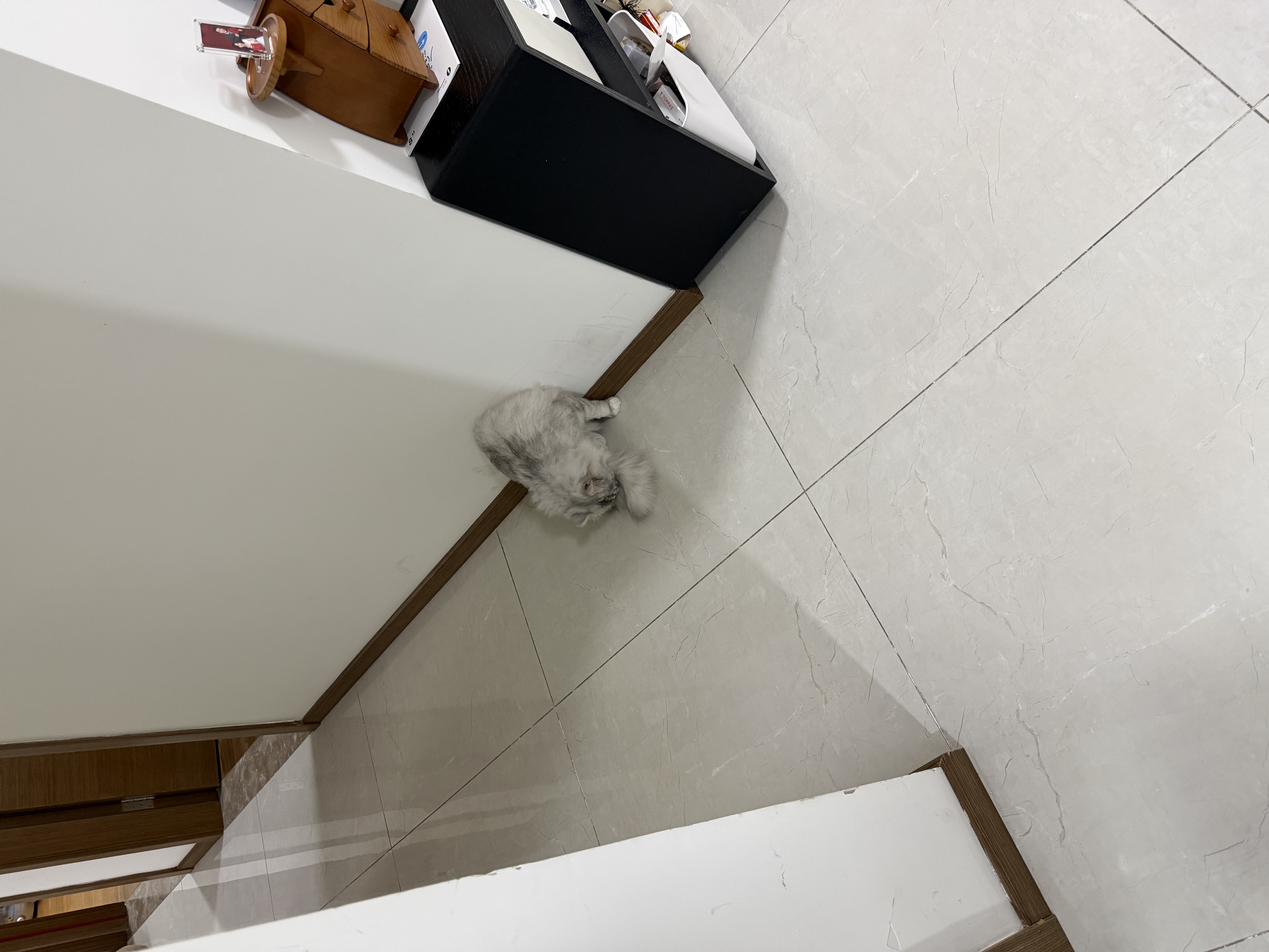 宠物家庭保洁除毛（当天可预约）吊顶吸尘清洁上门服务 擦玻璃窗户 厨房保洁除油 大扫除 搬家租房保洁 宠物家庭保洁3小时（不含吸尘器） 提前下单（客服预约） 实拍图