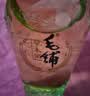 劲牌毛铺草本酒 苦荞酒 金荞42度 500ml单瓶装 实拍图