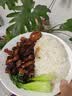 崇明岛十月江南2025当季新米崇明滩大米50斤粳米食堂餐厅圆粒香 实拍图