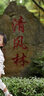 COODORA宝宝凳子叫叫椅婴儿学坐凳幼儿园儿童靠背小椅子防滑板凳 实拍图
