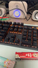 雷柏（Rapoo）V500PRO单光版 有线背光机械键盘 104键全尺寸游戏电竞笔记本电脑办公吃鸡全键无冲键盘 黑轴 实拍图