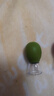 圣菲小象小儿推拿蜜芽罐儿童硅胶拔罐刮痧神器易罐宝宝专用吸痧走罐全身 实拍图