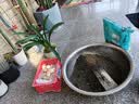 德沃多羊粪有机肥5KG通用植物盆栽花肥料花卉绿植羊粪蛋发酵羊粪肥内蒙 实拍图