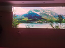 极米Z9X 4K 高亮升级 全新轻薄4K光学变焦三色激光投影1500CVIA 真实高亮家用智能云台投影仪 国家补贴 实拍图